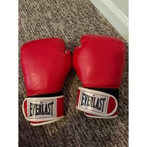 Everlast Boxing Gloves 8 oz Red Training Sparring MMA Kickboxing Punching Bag